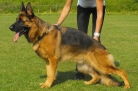 Xedos Schreidon